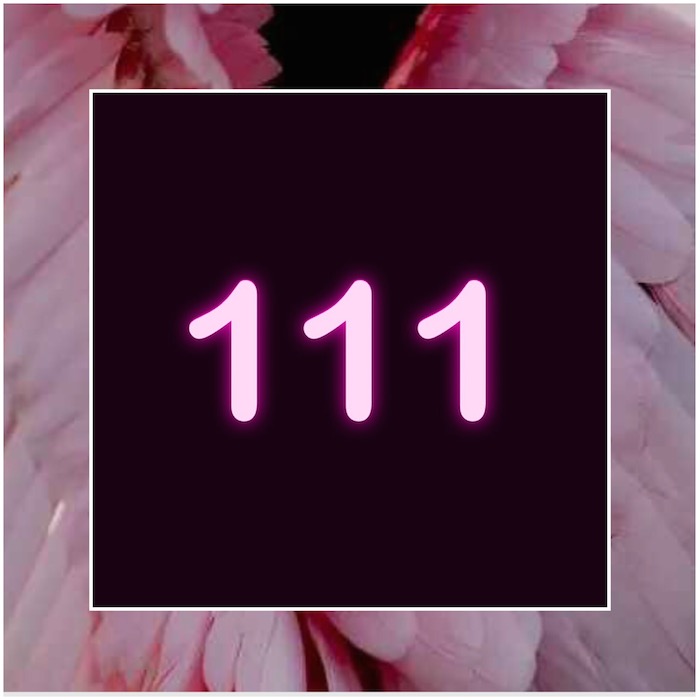 HELLO ANGEL: THE NUMEROLOGY OF 1/11