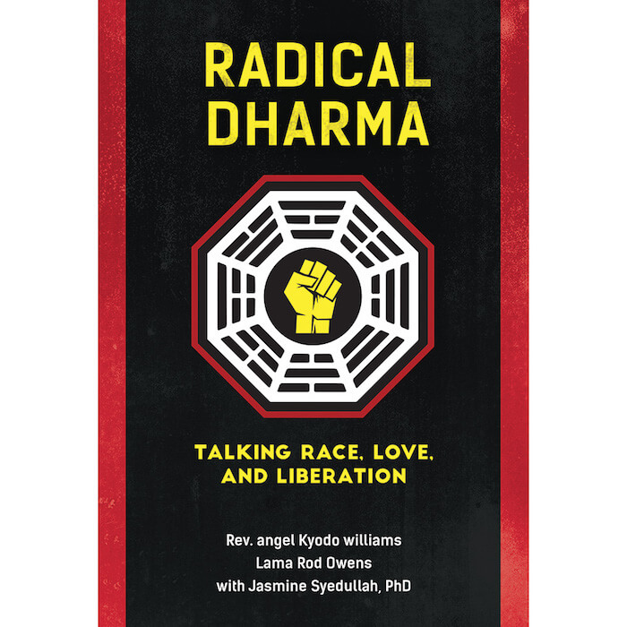 Radical dharma book the numinous