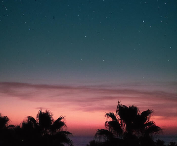 Numinous weekly horoscopes palm trees night sky The Numinous