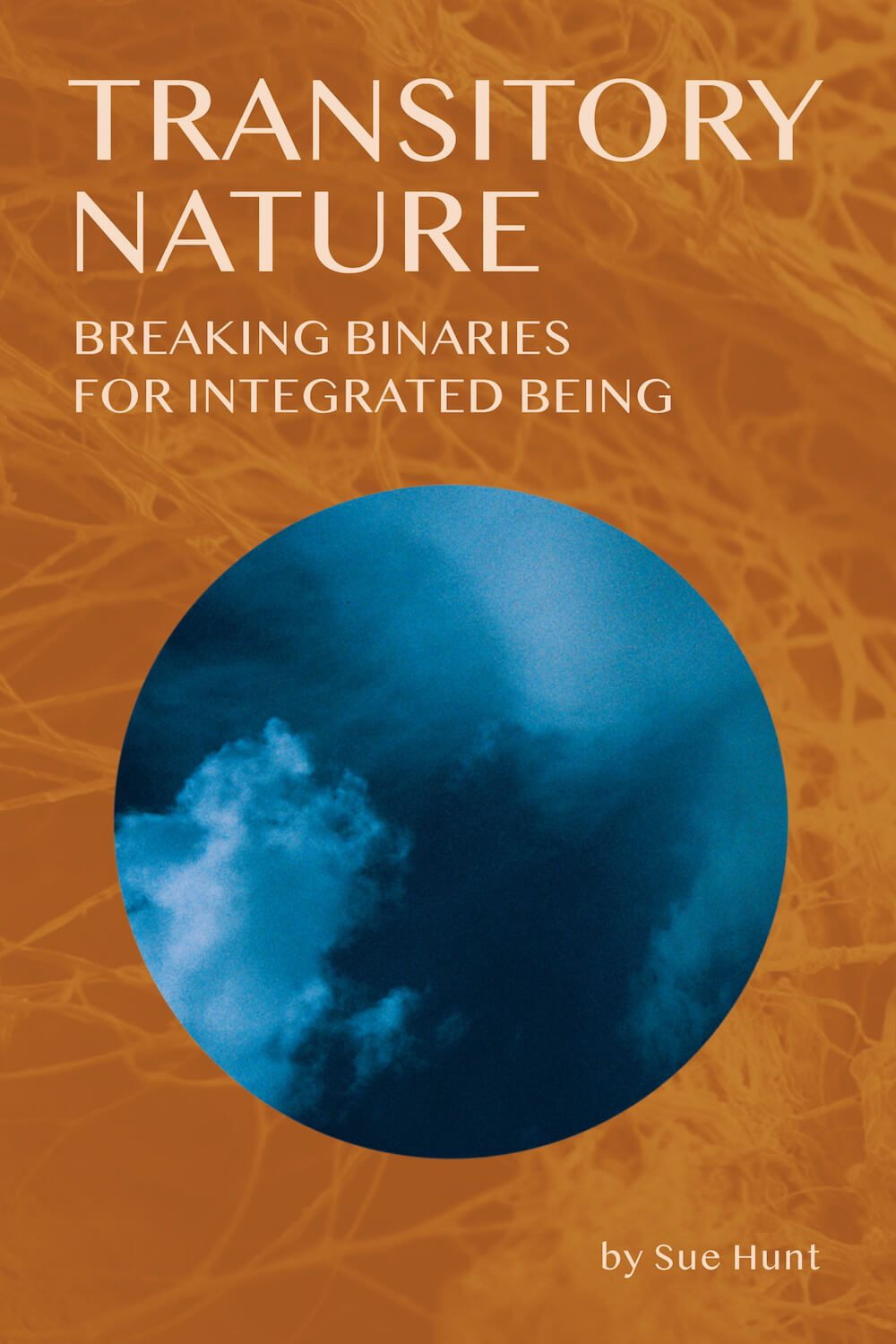 Transitory Nature Sue Hunt Numinous Books