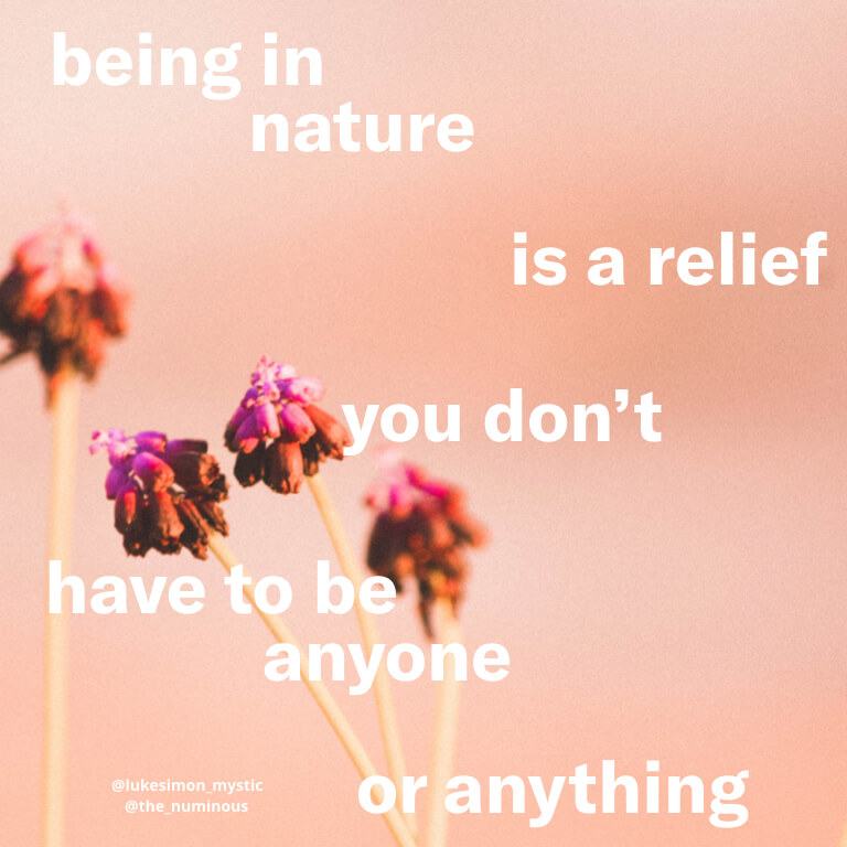 An Ode to Natural Healing